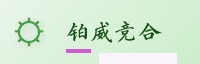 合作伙伴